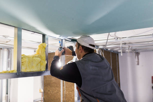 Best Basement Insulation  in Bristol, IN